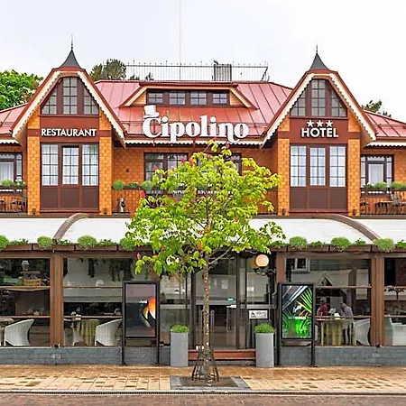 Cipolino 3*