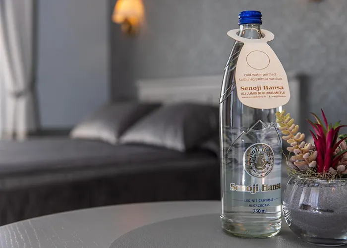 Senoji Hansa Паланга