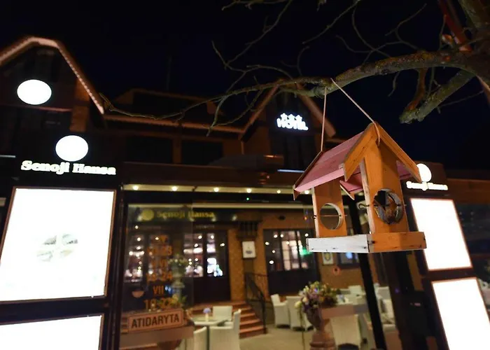 Senoji Hansa Паланга